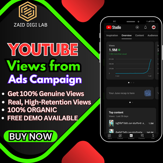 YouTube Views from Ads Campaign